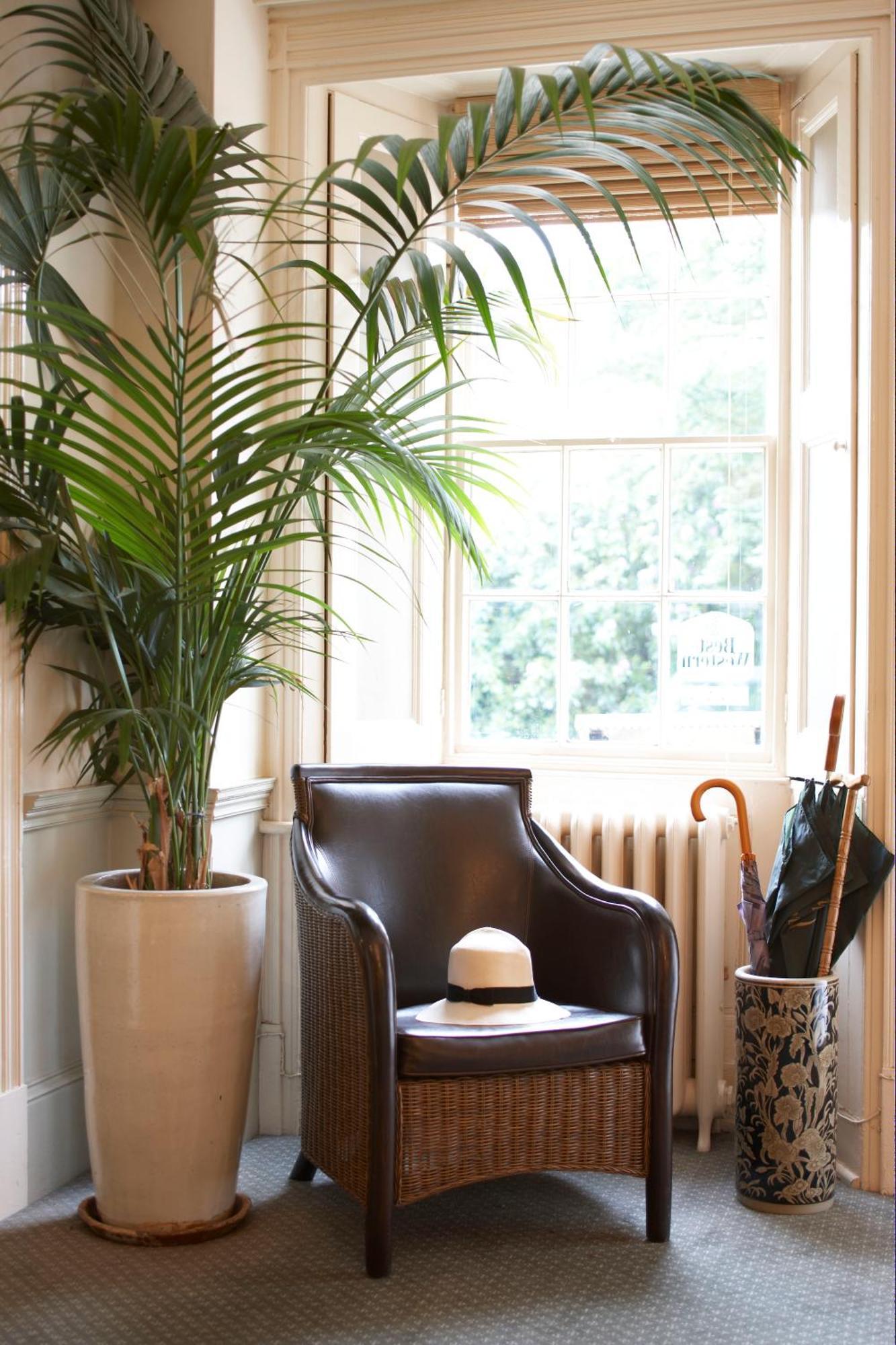 Flackley Ash Country House Hotel Peasmarsh Экстерьер фото